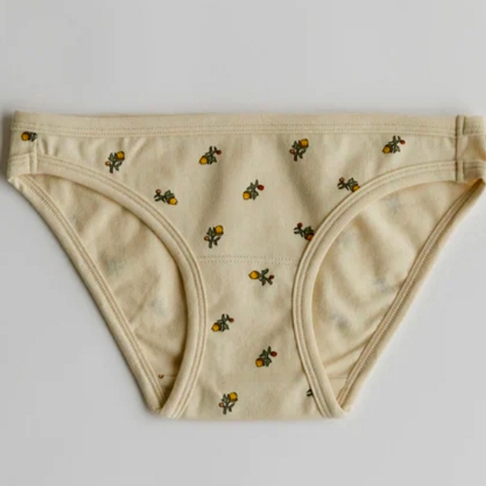 ARQ Panties, Sz.2X NWT